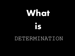 DETERMINATION