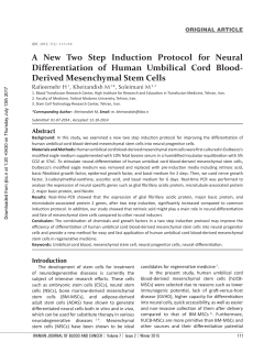 A New Two Step Induction Protocol for Neural Differentiation of