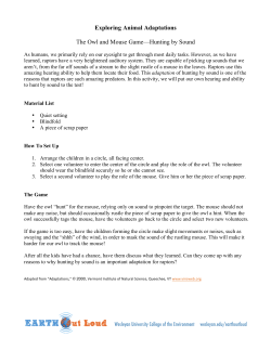 Activities - Owl and Mouse Game