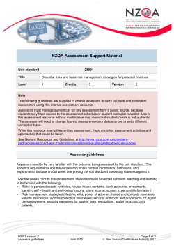 28091 Assessor guidelines