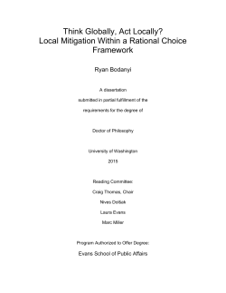 Local Mitigation Within a Rational Choice Framework