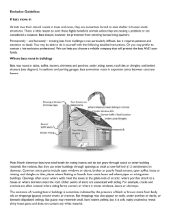 Exclusion Guidelines If bats move in As bats lose their natural roosts