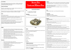 Castles - medium term planning sheet DOCX File