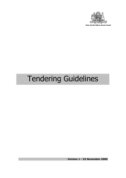 NSW Government Tendering Guidelines