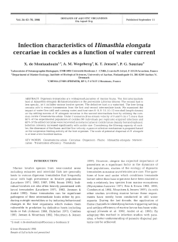 Infection characteristics of Himasthla elongata