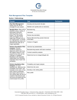 Risk Management Plan Template