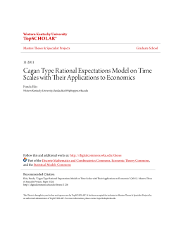 Cagan Type Rational Expectations Model on Time