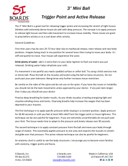 3&rdquo; Mini Ball Trigger Point and Active Release