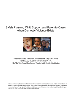 Safely Pursuing Child Support and Paternity Cases when Domestic