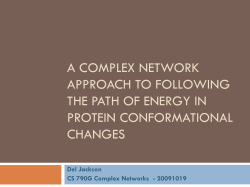 Understanding Myosin network