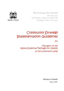 Community Strategy Implementation Guidelines