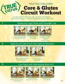 17102 Exersice Core and Glutes page1_v4