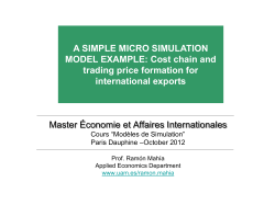 A SIMPLE MICRO SIMULATION MODEL EXAMPLE