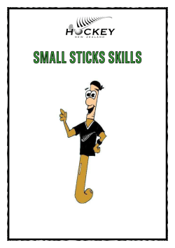Small Sticks Skills