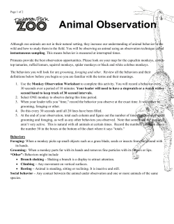 Animal Observation - Dickerson Park Zoo