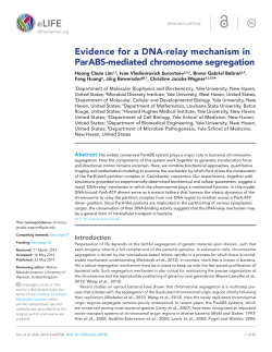 Evidence for a DNA-relay mechanism in ParABS-mediated