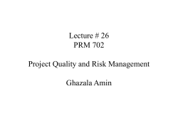 Project Risk Management