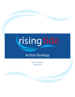 Action Strategy - Project Rising Tide