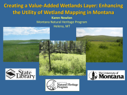 Creating a Value-Added Wetlands Layer: Enhancing the Utility of