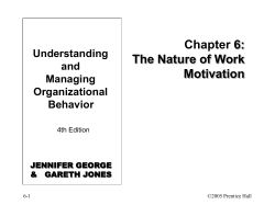 Organizational Behavior_Chapter 6