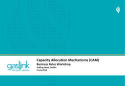 2 July 2014: Capacity Allocation Mechanisms Workshop Slides