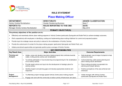 role and accountability statement