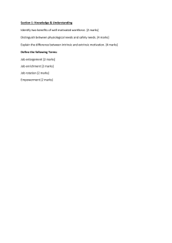 Motivation Questions - business-and-management-aiss