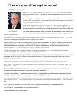 NY leaders form coalition to get the lead out
