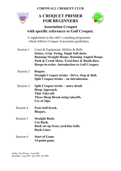 Purpose - Cornwall Croquet Club