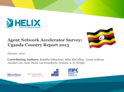 Agent Network Accelerator Survey - The Helix Institute of Digital