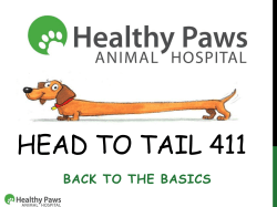 Head to Tail 411 - Greater Chicago Cavalier Rescue