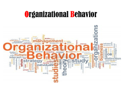 Organizational Behavior