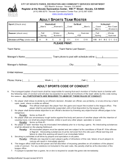 adult sports team roster adult sports code of conduct
