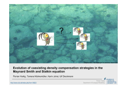 Evolution of coexisting density compensation strategies in the