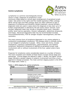 Canine Lymphoma - Aspen Meadow | Veterinary Specialists