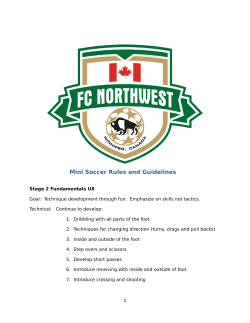 Mini Soccer Rules and Guidelines