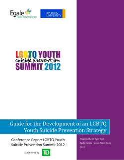 Guide for the Development of an LGBTQ Youth