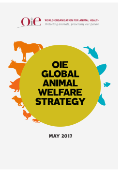 OIE GLOBAL ANIMAL WELFARE STRATEGY