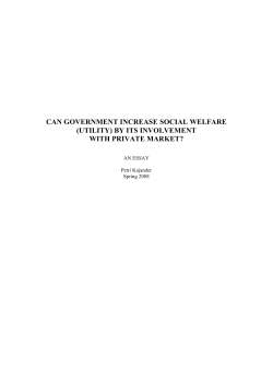 can government increase social welfare (utility) by