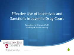Effective Strategies in Juvenile Drug Courts: Research and