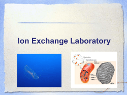 Ion Exchange Chromatography