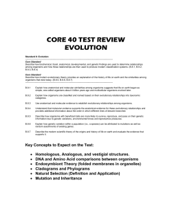 CORE 40 TEST REVIEW
