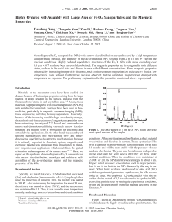 Highly Ordered Self-Assembly with Large Area of Fe3O4