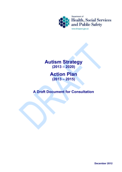Autism Strategy (2013-2020) Action Plan