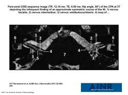 powerpoint - American Journal of Neuroradiology