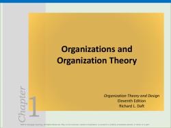 Chapter Organizations and Organization Theory