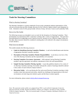 Responsibilities of Steering Committee Members