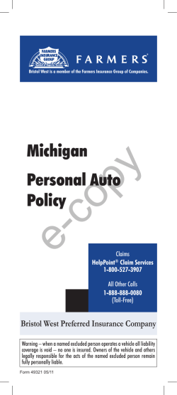 Michigan Personal Auto Policy