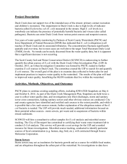 Project Description Activities, Methods, Objectives, and Outcomes