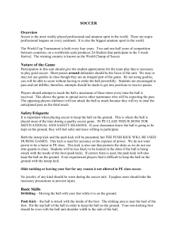 SOCCER Overview Nature of the Game Safety/Etiquette Basic Skills